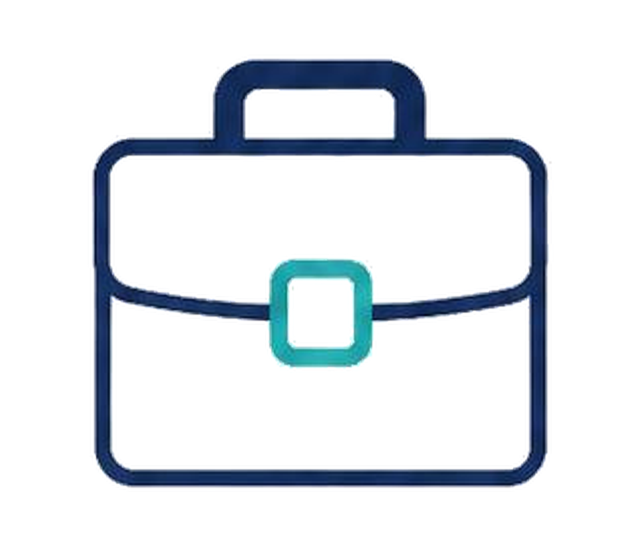 Business Enterprise Value